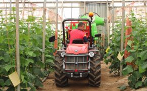 tractor para invernaderos Antonio Carraro