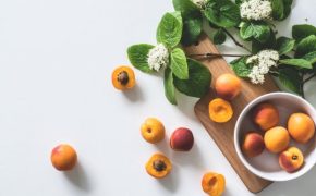 Mejores tractores fruteros: 6 Opciones imperdibles Mejores tractores fruteros